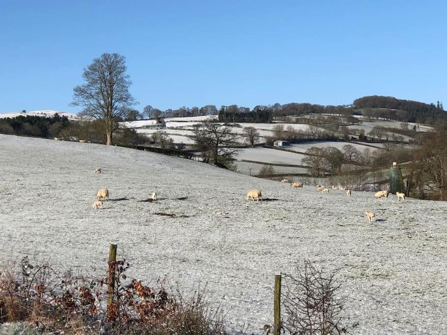 5F Stanley Lodge, Caer Beris, Builth Wells - No Tradesman المظهر الخارجي الصورة